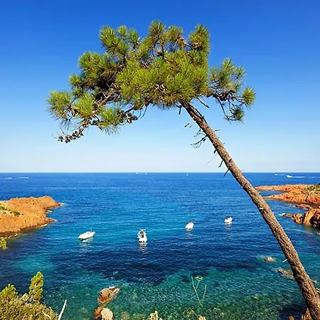 Apartmán Studio Renove A 50 M Des Plages
